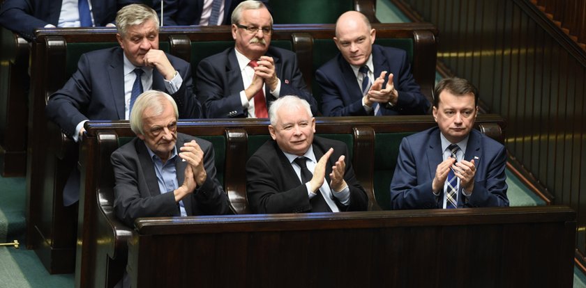 PiS "kwitnie" dzięki temu i zwiększa poparcie