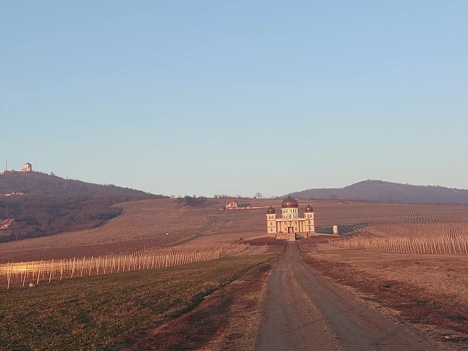 Dvorac Rodoljuba Draškovića