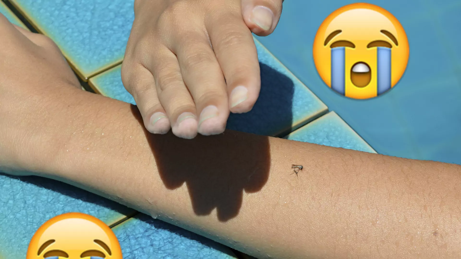 Koniec z drapaniem. 7 sposobów na komary