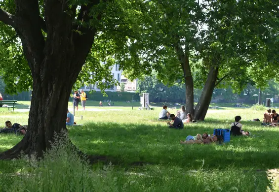 Jak obniżyć temperaturę w mieście? Istnieje kilka sposobów