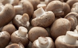 Co trzecia wyeksportowana pieczarka pochodzi z Polski