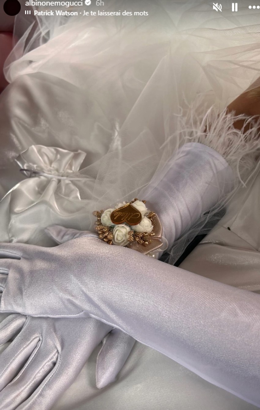 Albino sa izabranicom