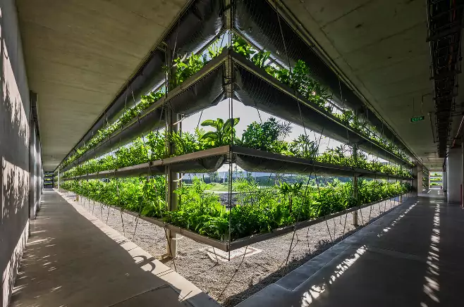 Innowacyjna fabryka z roślinną wentylacją w Wietnamie