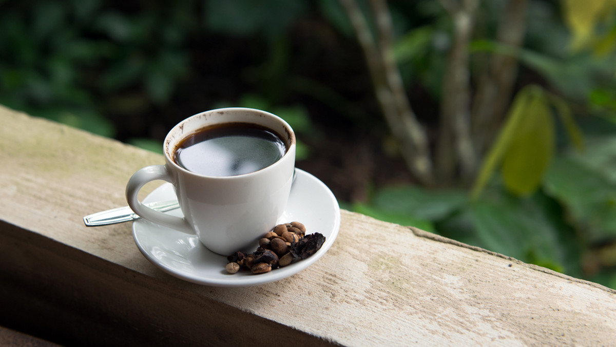 Proces produkcji kawy Kopi Luak może nie przemawiać do wyobraźni, ale jest to najlepsza, a zarazem najdroższa kawa na świecie. Wydobywana jest ona z odchodów łaskunów.
