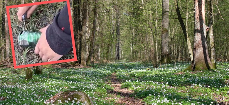 Leśnicy pokazali makabryczne odkrycie w lesie. "Przerażający filmik"
