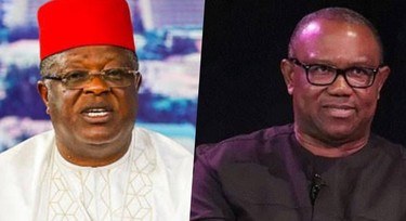 Obi causing distraction for Southeast by taking Tinubu to court - Umahi