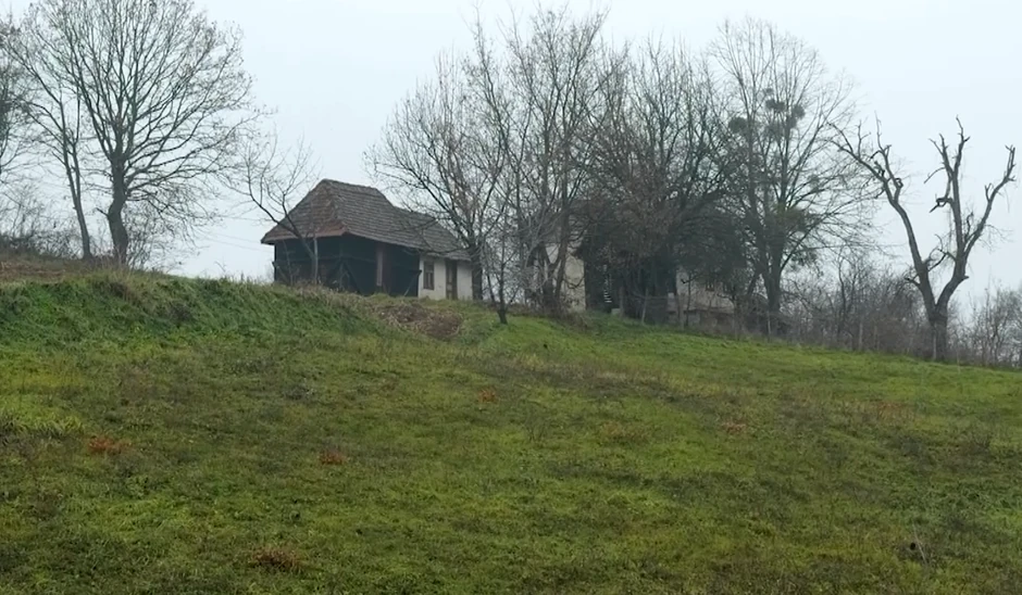 Mitar Mirić, emisija "Metar moga sela"