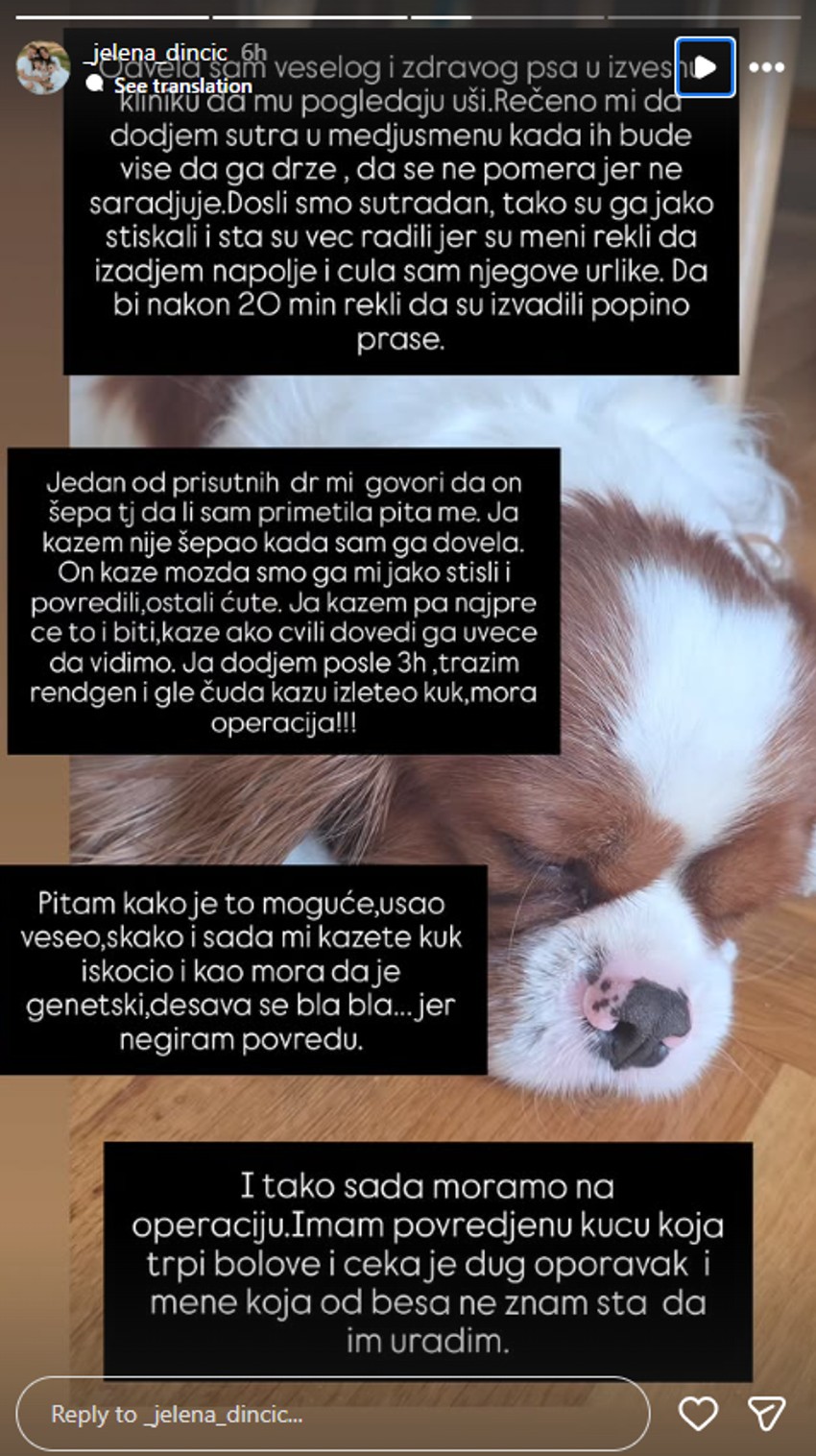 Jelena Dinčić otkrila da joj je pas povređen