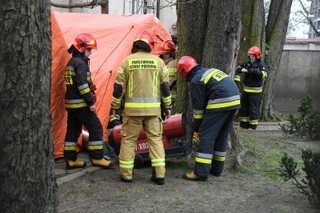 Wirus dotarł do nas z Niemiec