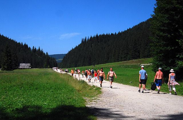 Galeria Polska - Zakopane - letni weekend, obrazek 14