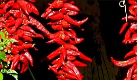 fuszerpaprika-cvitamin-d00001CE86321ee8249e8