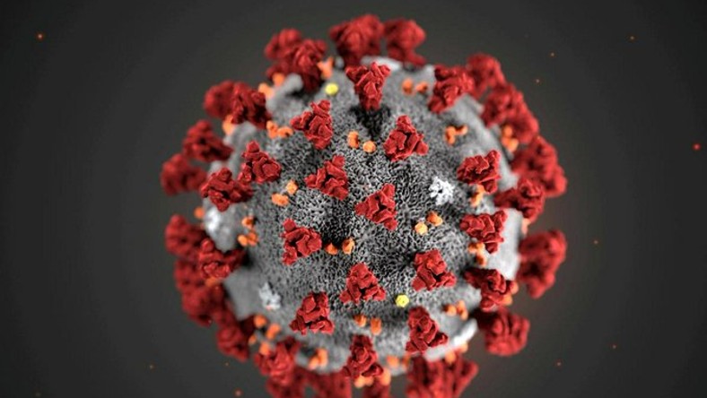 Fake Coronavirus cures you should ignore