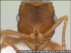 One żyją bez seksu