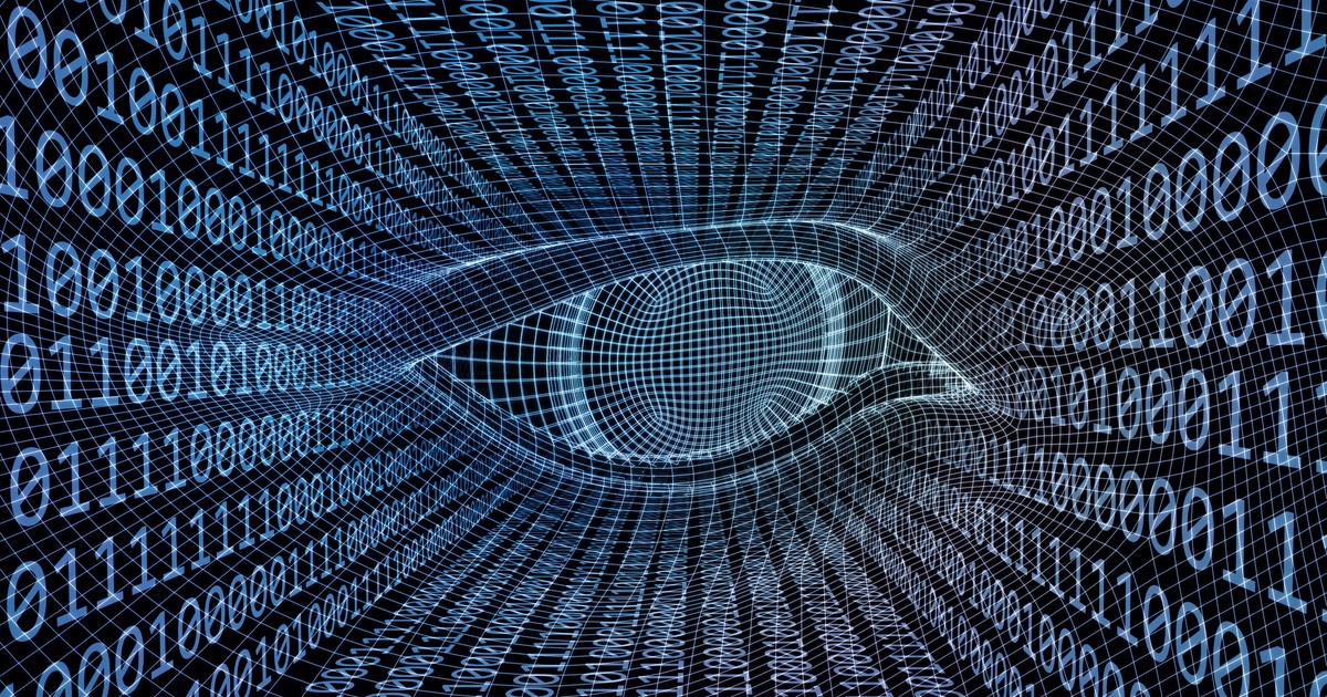 Vajon te megtalálod elsőre a pillangót? Kiderül, mennyire kivételes az intelligenciád Kép