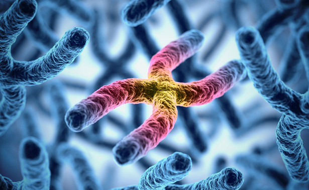 Chromosomy