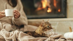 czy urlop wypoczynkowy może przepaść – co mówią przepisy i sądy