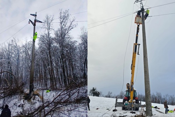 Ubijeni Saša Joksić