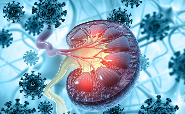 Koronawirus atakuje nerki