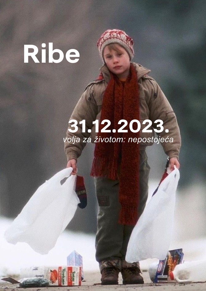 Ribe