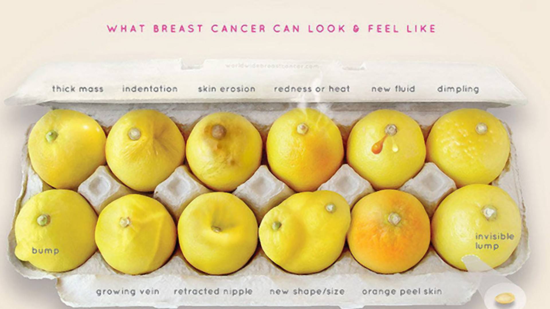 "Poznaj swoje cytryny". Genialna kampania pokazuje, jak gołym okiem rozpoznać raka piersi