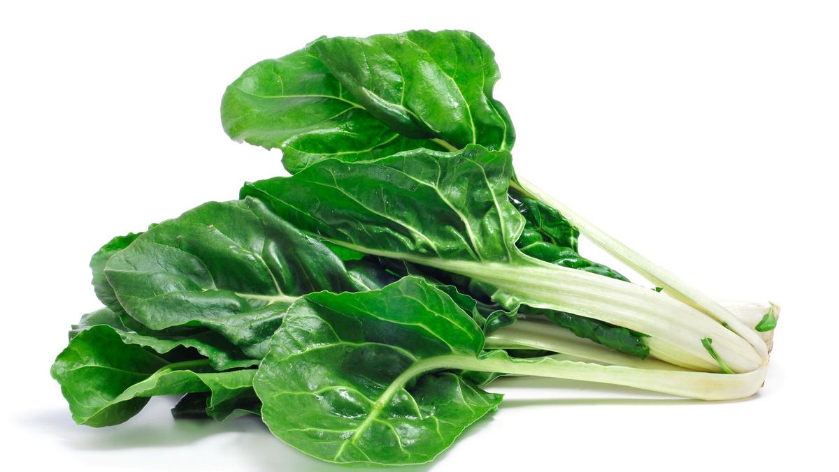 Isolated image of bright green chard