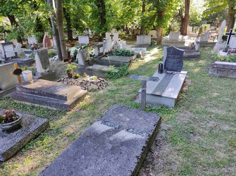 Fotó: Ringier/ Oláh Csaba