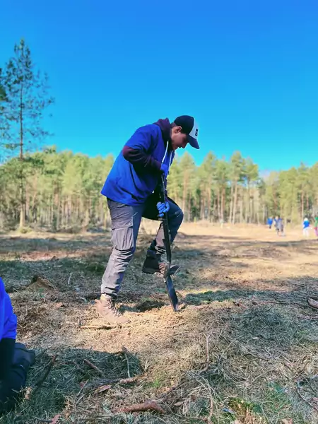 Umieszczanie sadzonek w ziemi wymaga skupienia i czułości. Trzeba uważać, by odpowiednio ułożyć korzenie