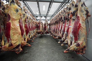 Wykorzystywanie zagranicznych pracowników w Niemczech. Zmiany rozpocznie skandal w branży mięsnej?