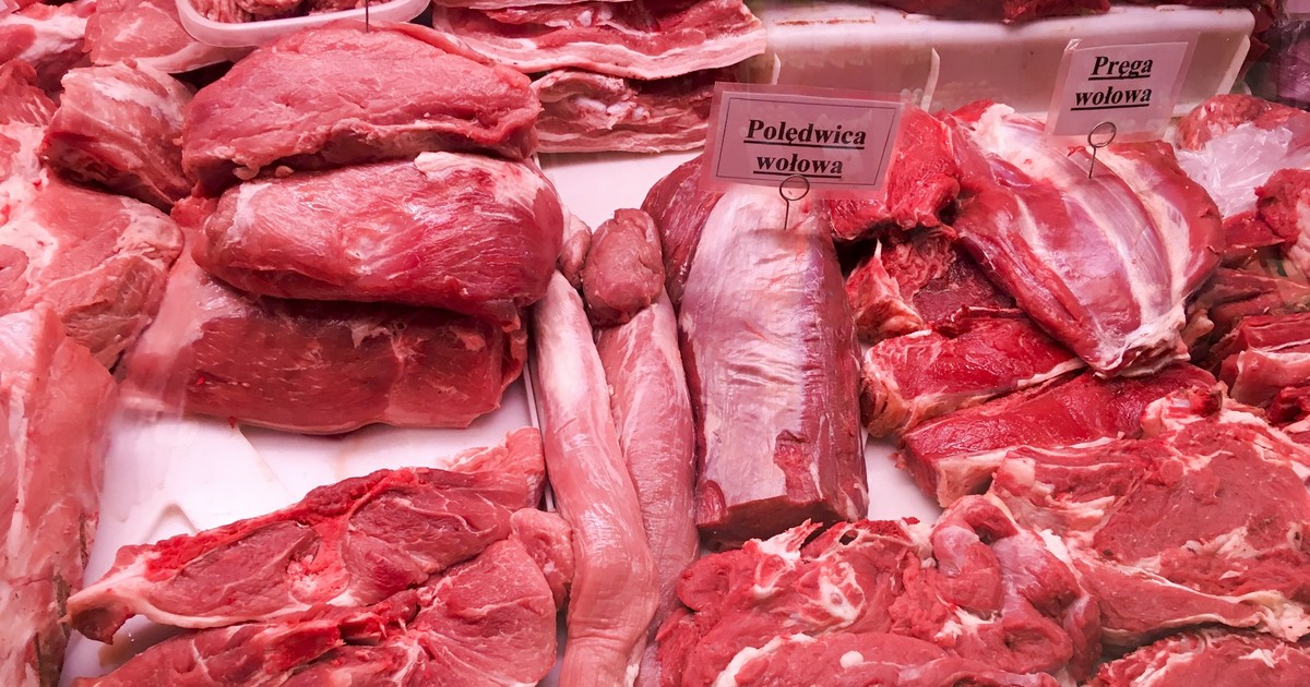 Salmonella v hovězím mase z Polska.  Česká republika vyhlašuje mimořádné kontroly