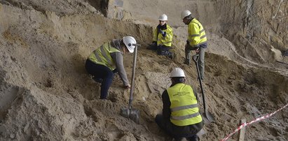 Metro odkrywa prehistoryczne stwory