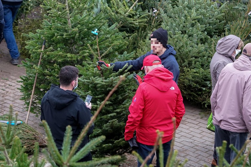 Jak wytargować dobrą cenę za choinkę. Zawodowy negocjator radzi