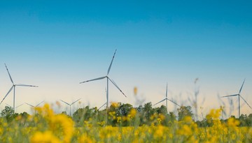 Ustawa wiatrakowa 2.0. Projekt powraca bez zmniejszenia minimalnej odległości turbin od zabudowań