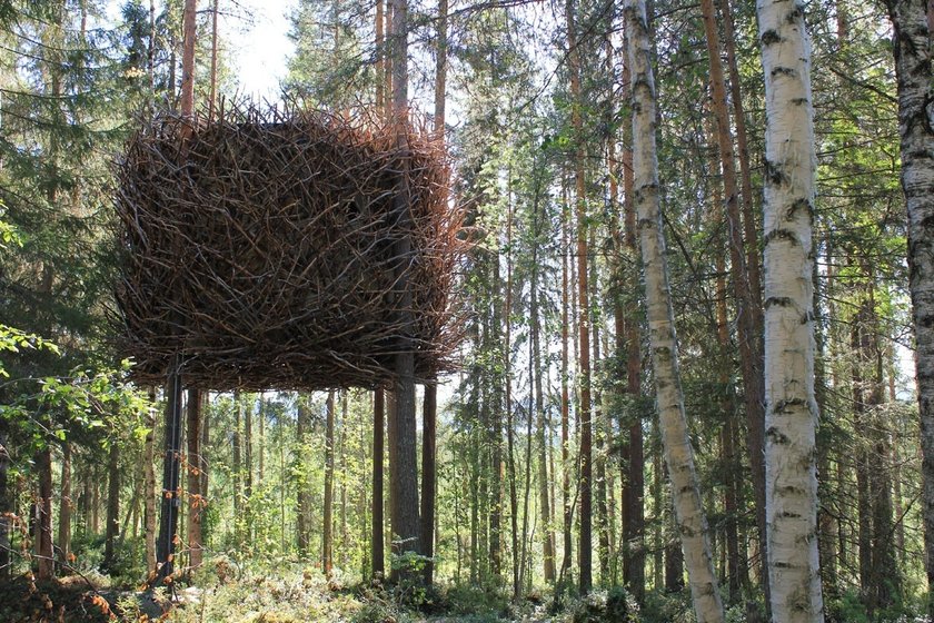 Bird Nest Treehouse