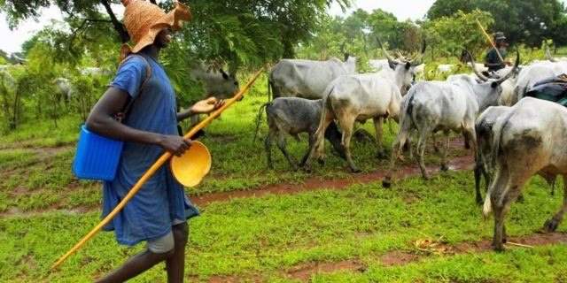 Fulani herdsmen