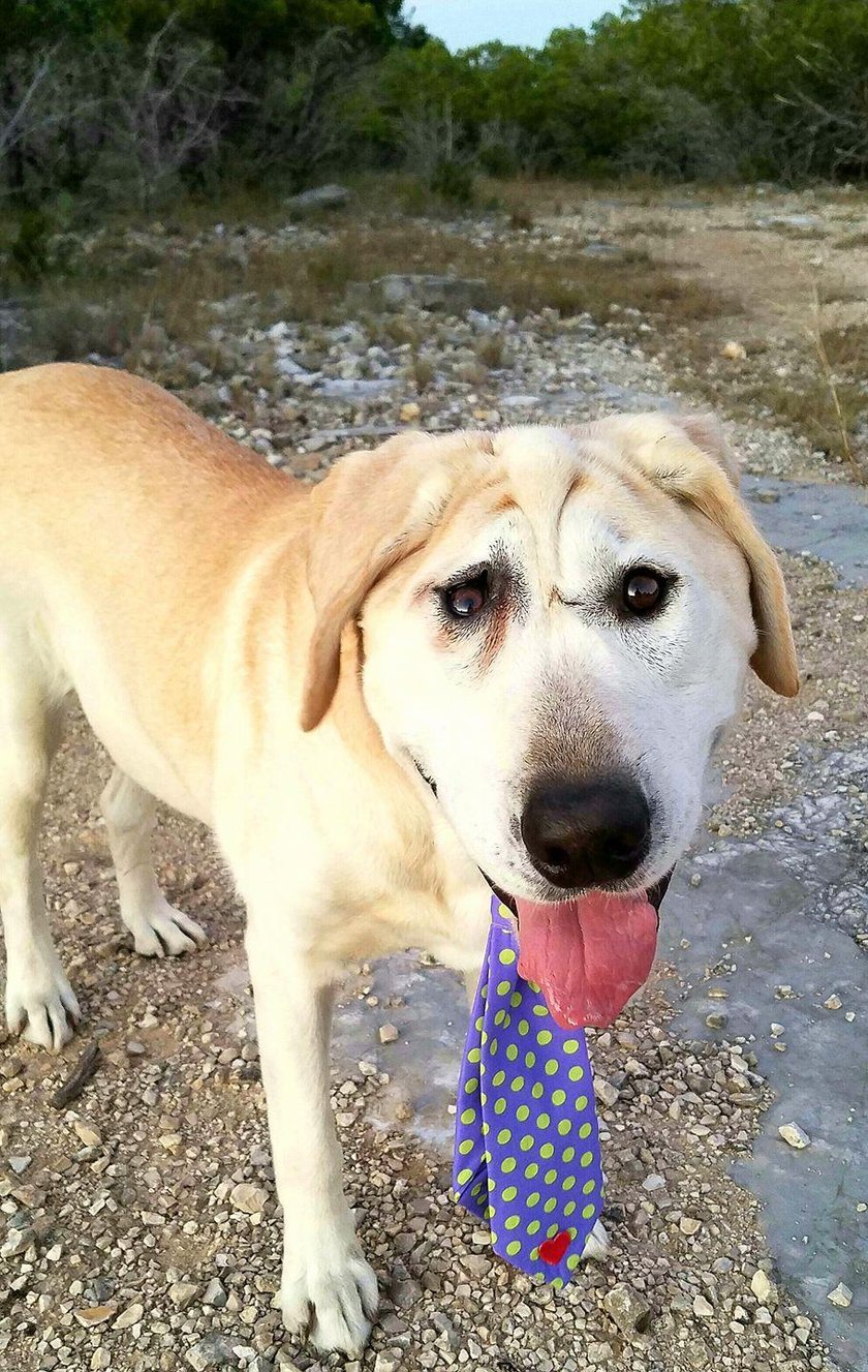 Pokochali go pomimo szpetności. Po adopcji zmienił się nie do poznania