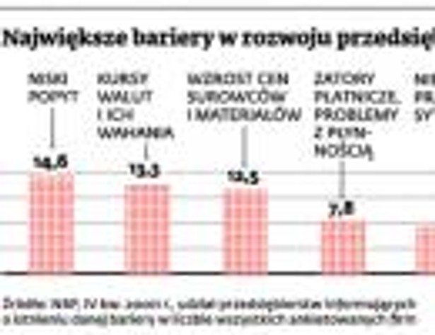 Największe bariery w rozwoju przedsiębiorstw