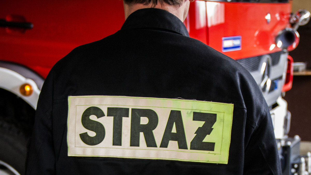 Polscy strażacy brali udział w akcji ratowniczej podczas gaszenia pożarów w Szwecji. W podzięce szwedzka marka opublikowała poruszający spot.