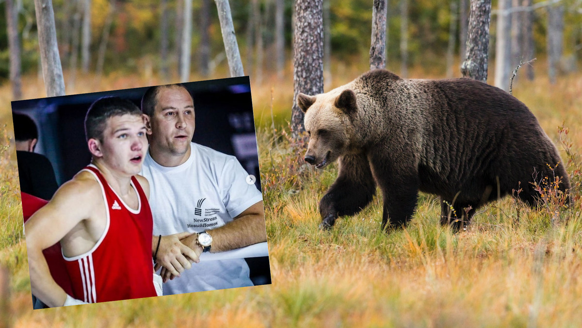 Rosja. 23-letni bokser stanął do walki z niedźwiedziem. Zwierzę nie przeżyło