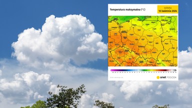 Wiosna rozwinie skrzydła. Szykuje się wystrzał ciepła [PROGNOZA]