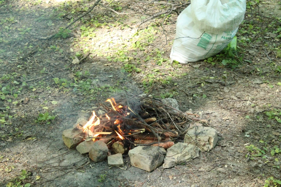 Prvi maj Fruška gora