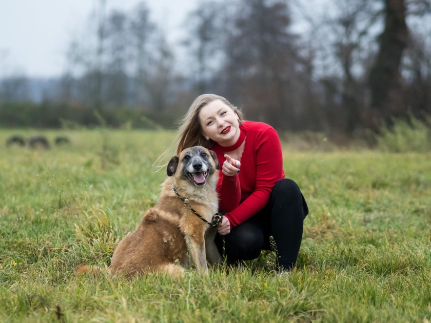 Jest do przygarnięcia piękny pies, ale ma jedną słabość... Lizer lubi się całować