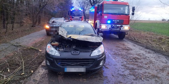 Pod wpływem wiatru w gm. Przechlewo konar drzewa spadł na samochód osobowy