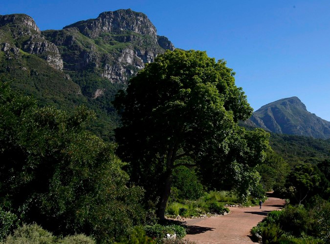 Rezerwat Góry Stołowej w RPA