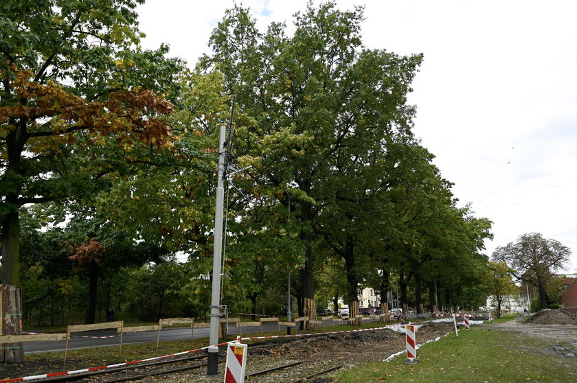 Remont na Biskupinie stanął przez Dęby