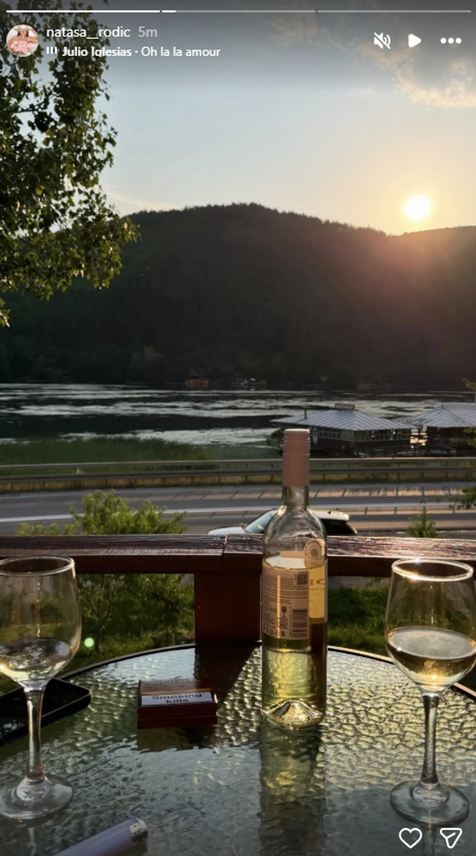 Nataša Rodić sa dečkom uživa