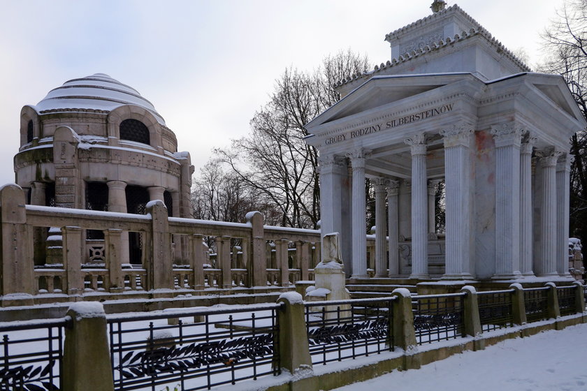 Rozpoczęły się prace pielęgnacyjne na Cmentarzu Żydowskim w Łodzi