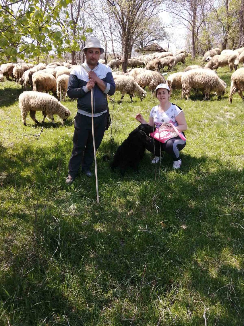 Milica i Dejan u naredne tri godine šire stado na 250 ovaca
