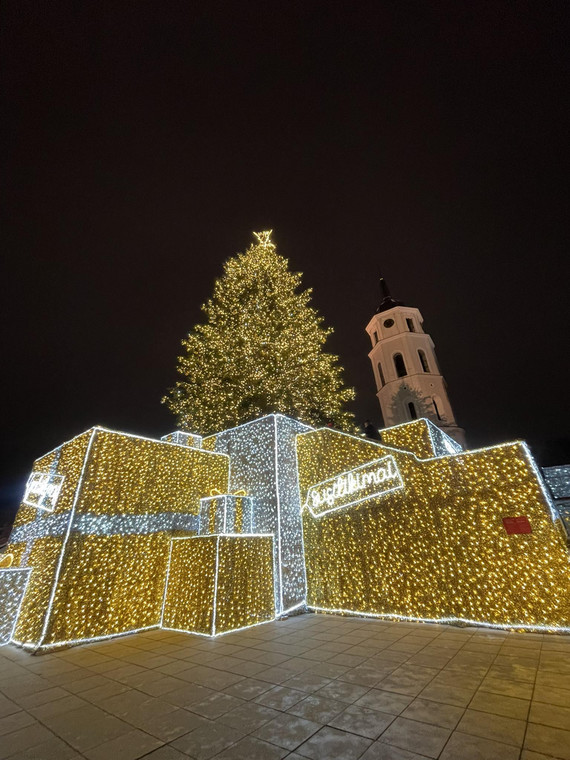 Pomul de Crăciun în Piața Catedralei din Vilnius