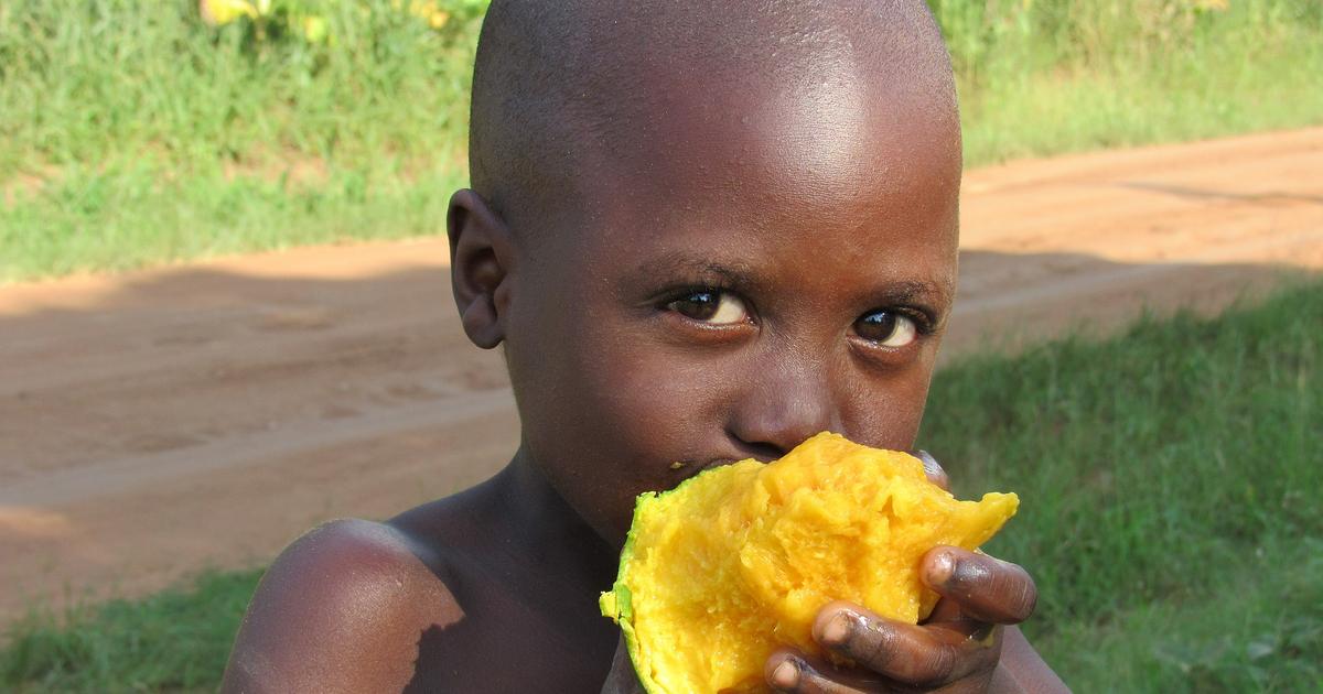 How to eat mango in a classy way