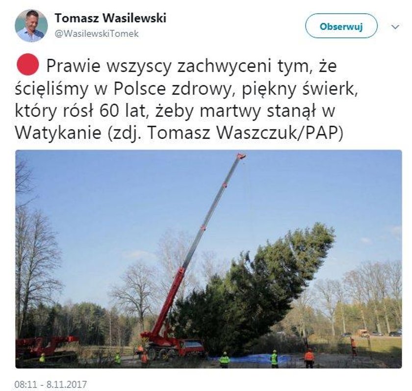 Prezenter TVN o świerku dla papieża. Rozpętał burzę w sieci